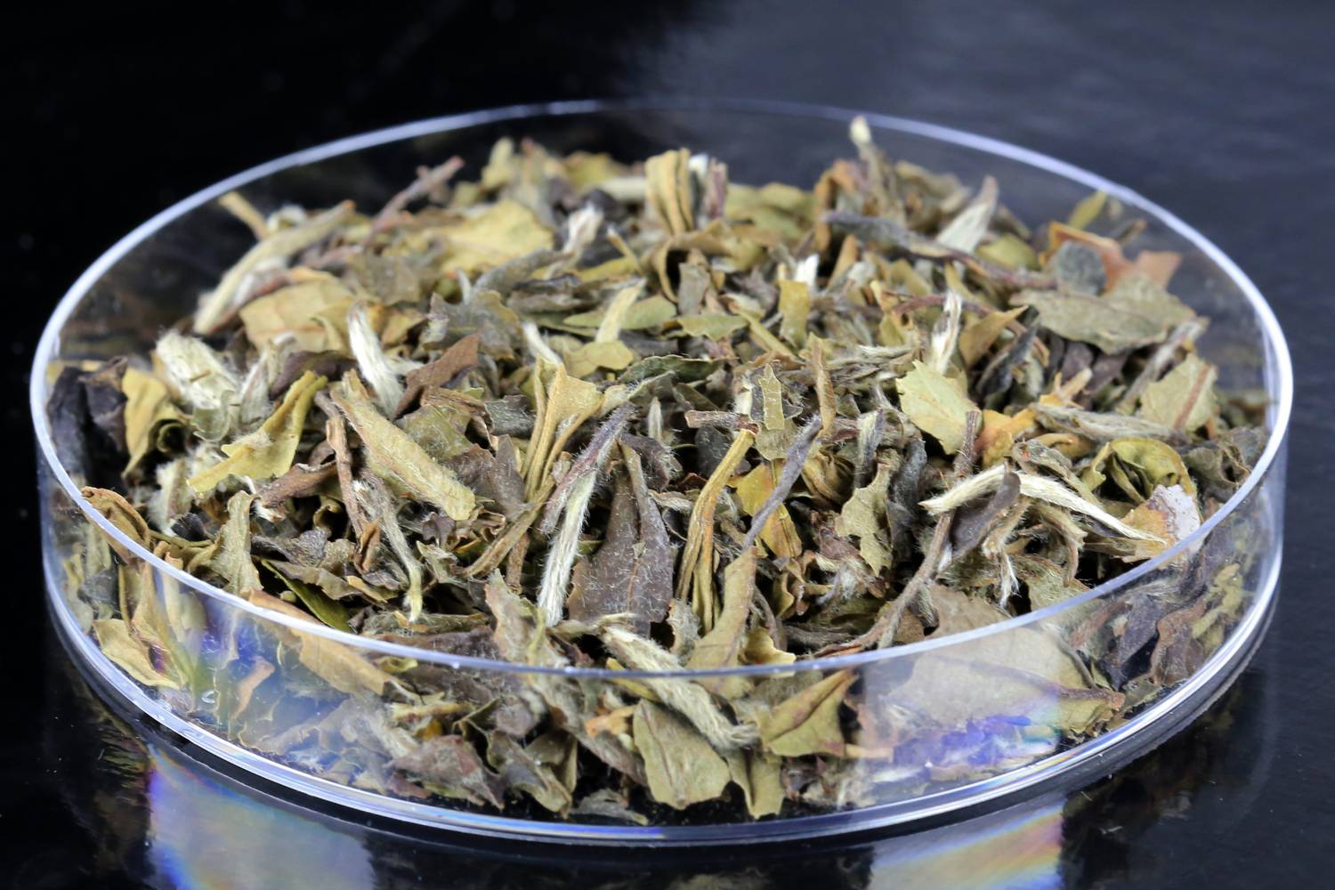 fehér tea (1)