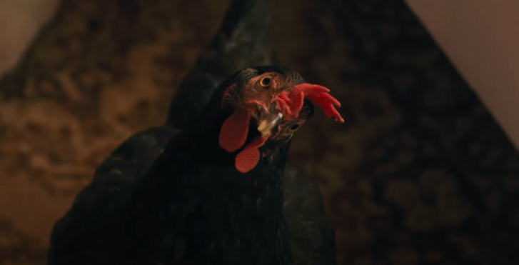 Részlet a Tyúk című filmből