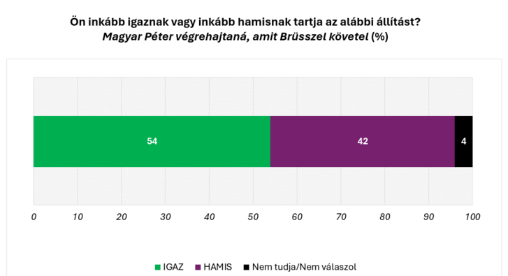 Képernyőkép 2026-02-05 135611.png