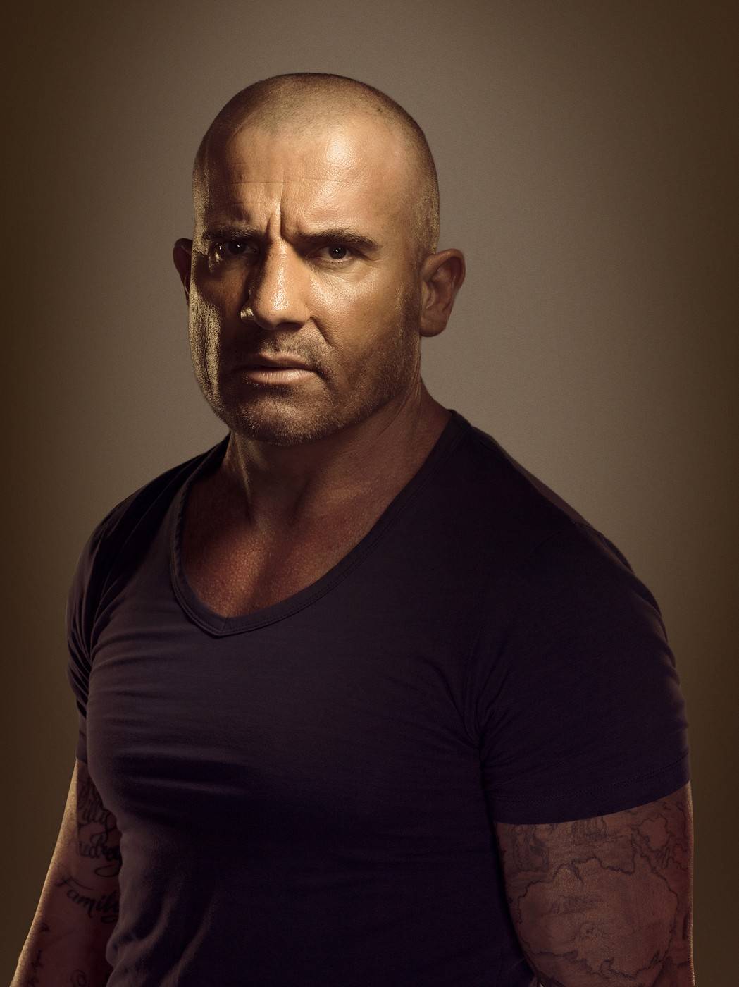 dominic purcell