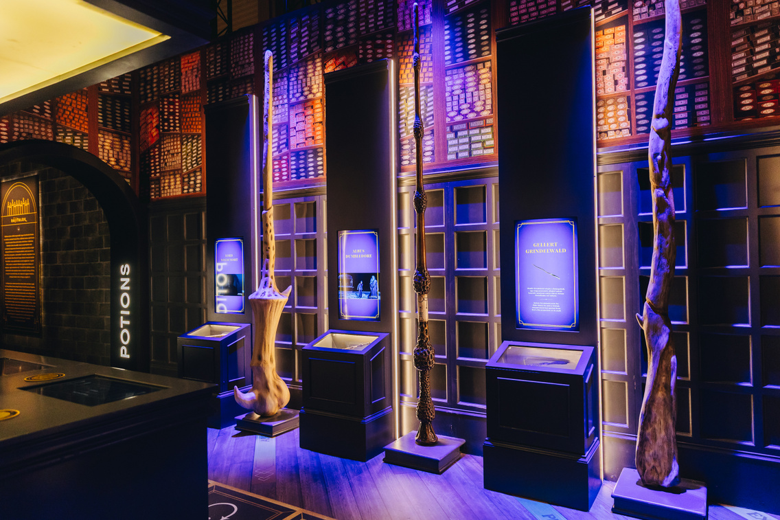 harry potter kiallitas 260206 majorkata-37