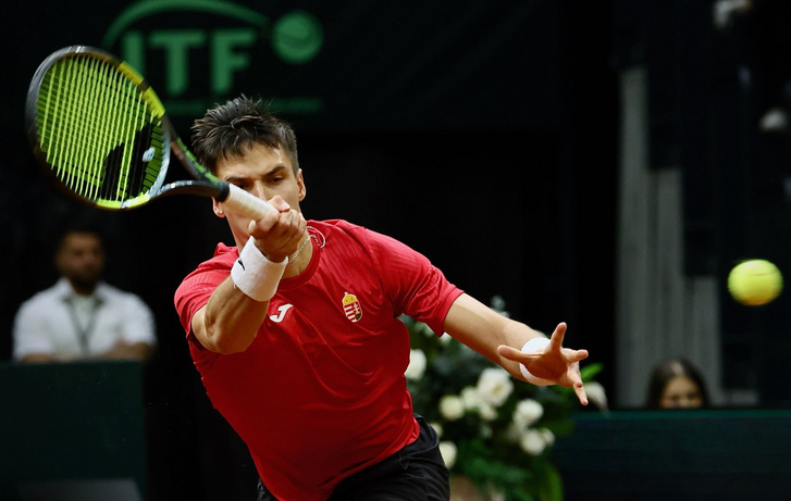 627644748 1464695245436049 4790938873036460656 n