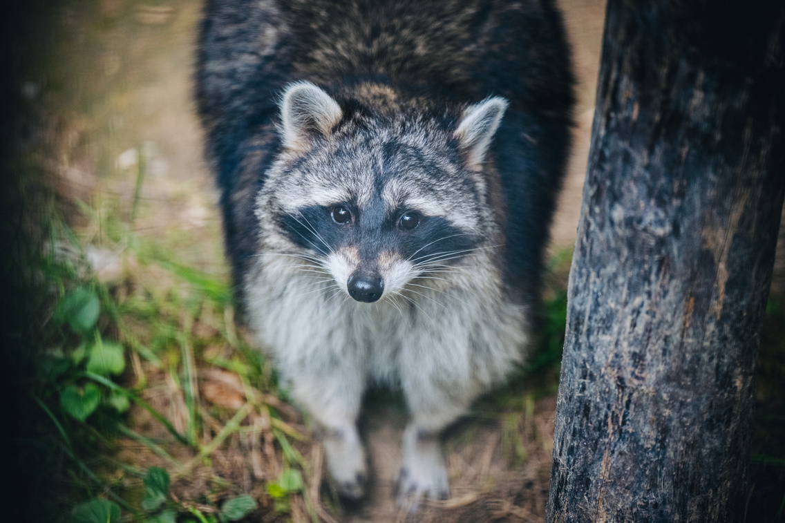 LB 20251003 vadaspark 0075