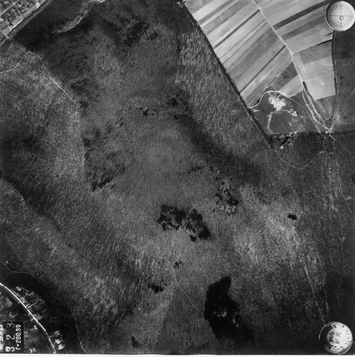 Légi fotó 1944-ből. Balra alul a Völgy utca, közepén a Nyéki-hegy, a kép jobb szélén a Határ-nyereg. A fotón jól látszanak a környék fenyőfoltjai