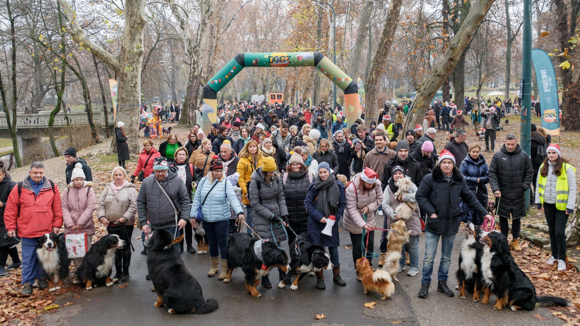 DOGZ falkaseta csoportkep (2)