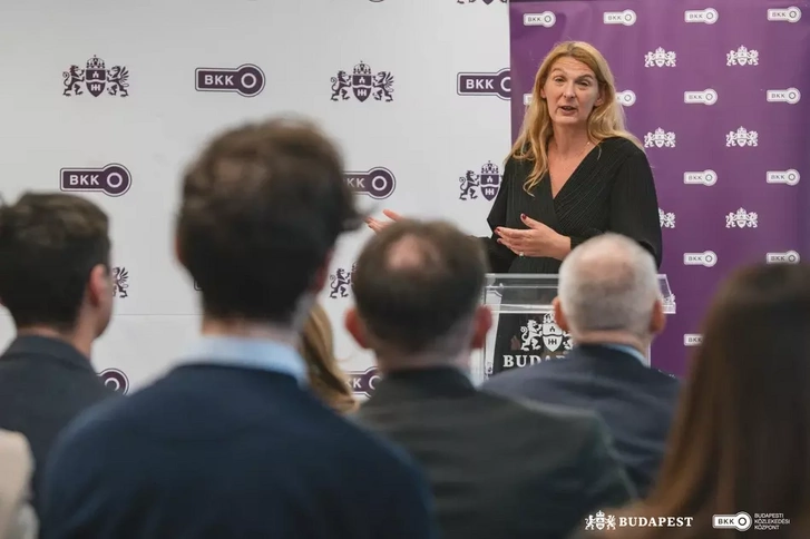 Baranyi Krisztina, Ferencváros polgármestere