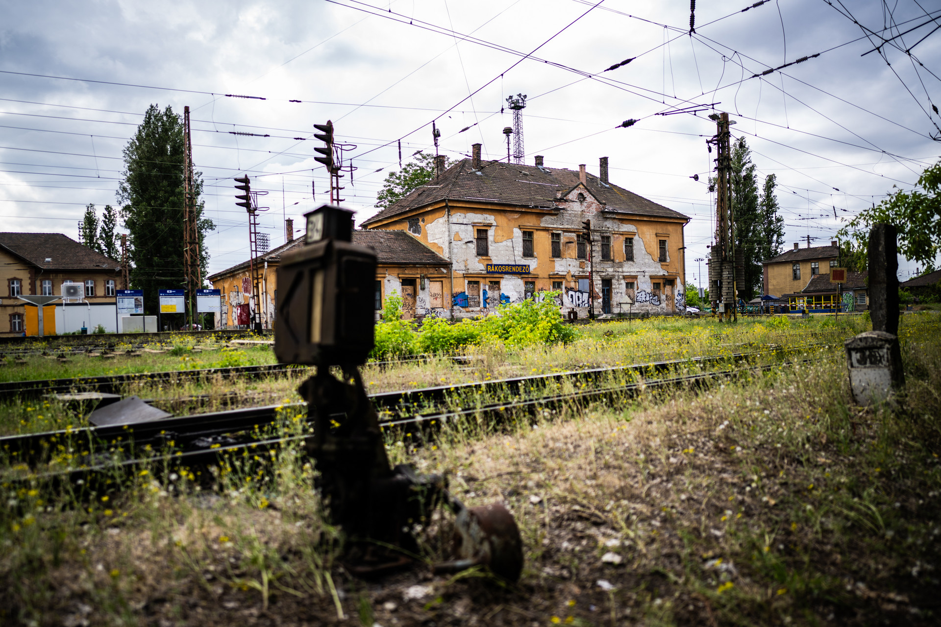 Rákosrendező területe 2024-ben