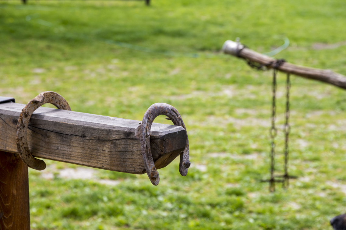 gyula-vezer-lovasudvar-gyulakeszi korosi-tamas 20160415 2