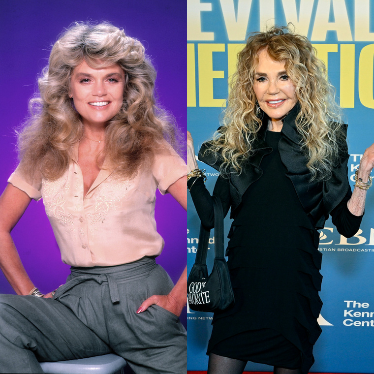 Dyan CannonDyan Cannon megjelenése jelentősen változott az aktív színészi időszakához képest, ám ma is nagyra becsülik mint kiváló szépséget