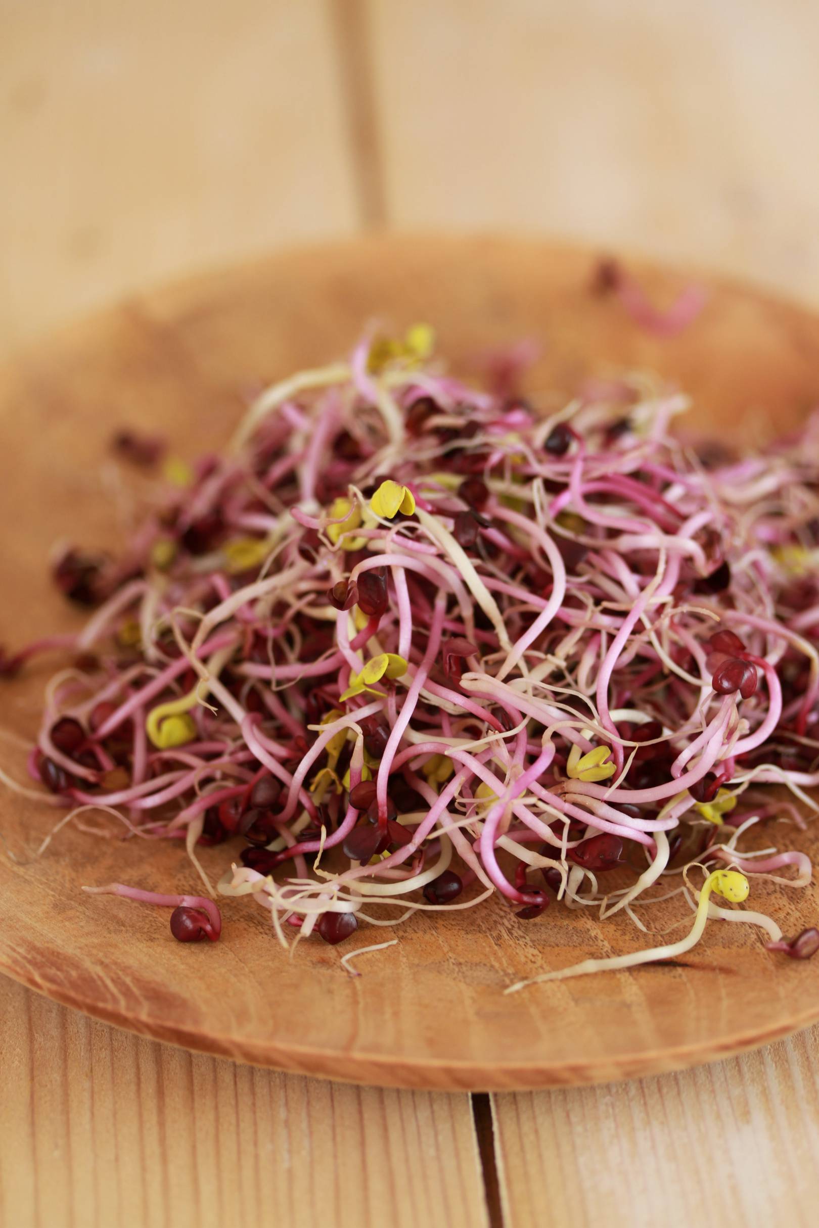 Így nevelj csírákat.