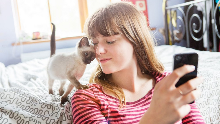 Döbbenetes, hogyan hatnak ránk a macskás videók