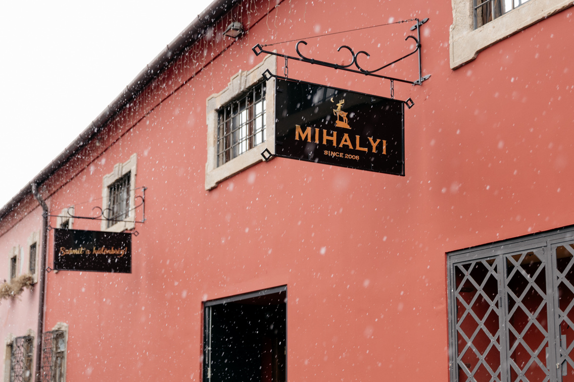 MihalyiCukraszda ForgacsZsuzsi 20260216-81