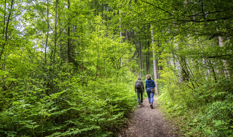 Egyre gyakrabban jelenik meg ez a veszélyes vadállat egy budapesti kerületben