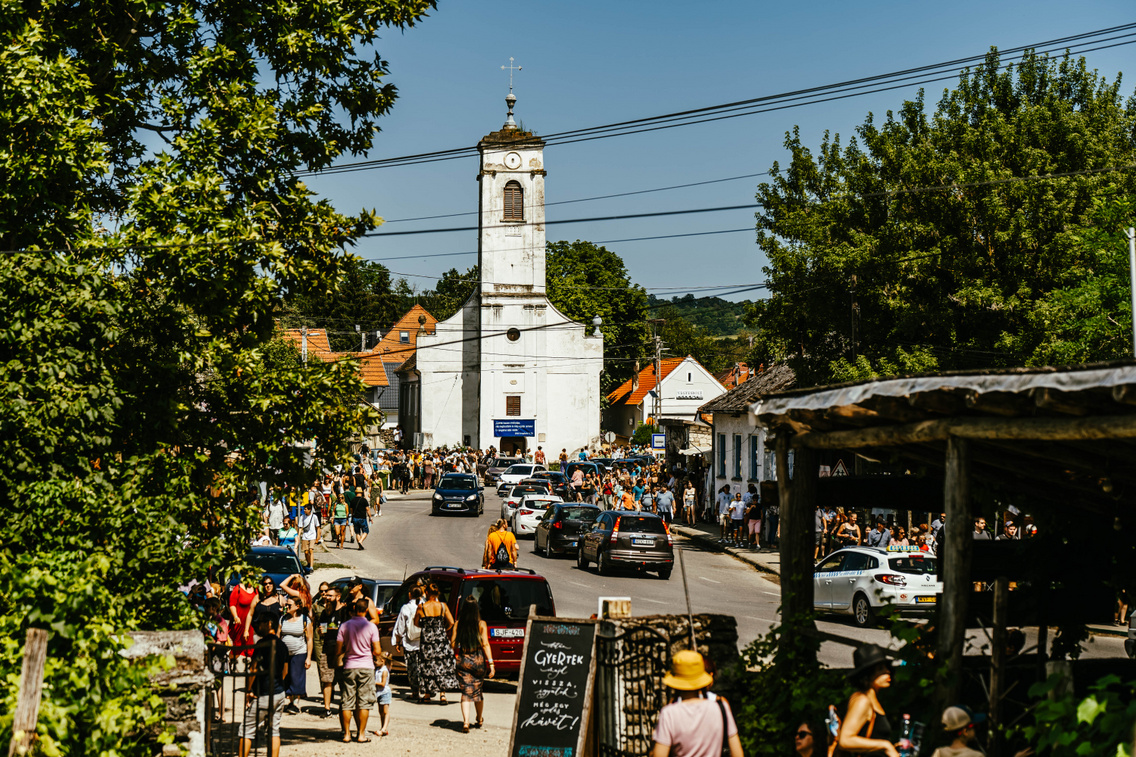 muveszetek-volgye-kepgalesz-2023-korosi-tamas-9