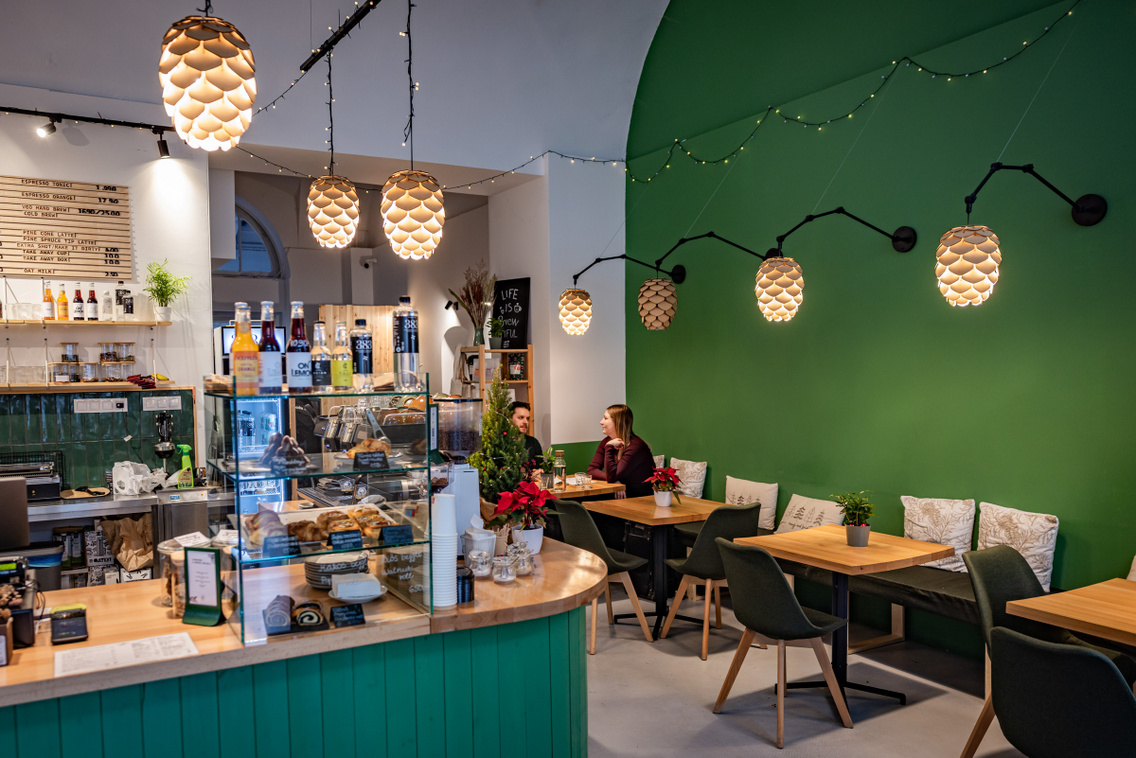 Pine 251208 Szabó Gábor 013