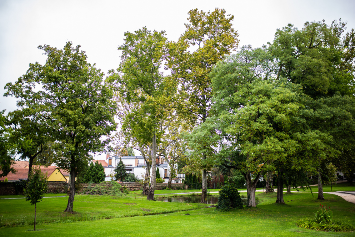 lb-20230925-tatai-esterhazy-kastely-0107