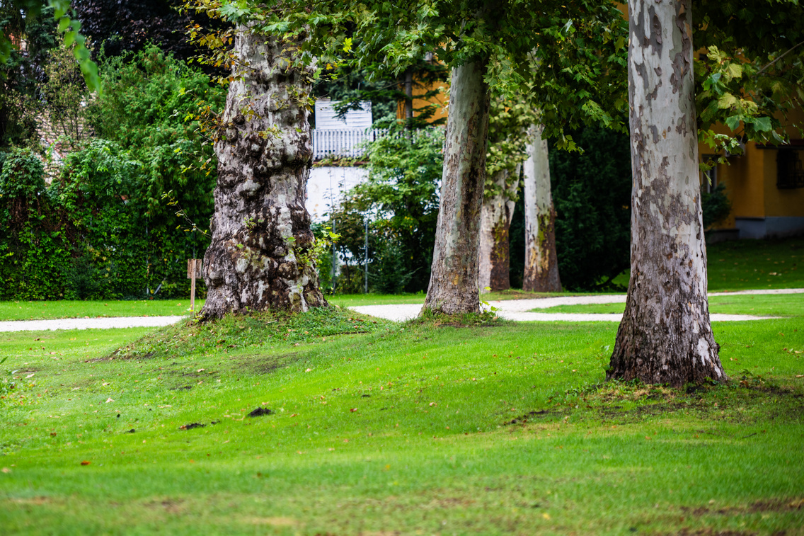 lb-20230925-tatai-esterhazy-kastely-0115