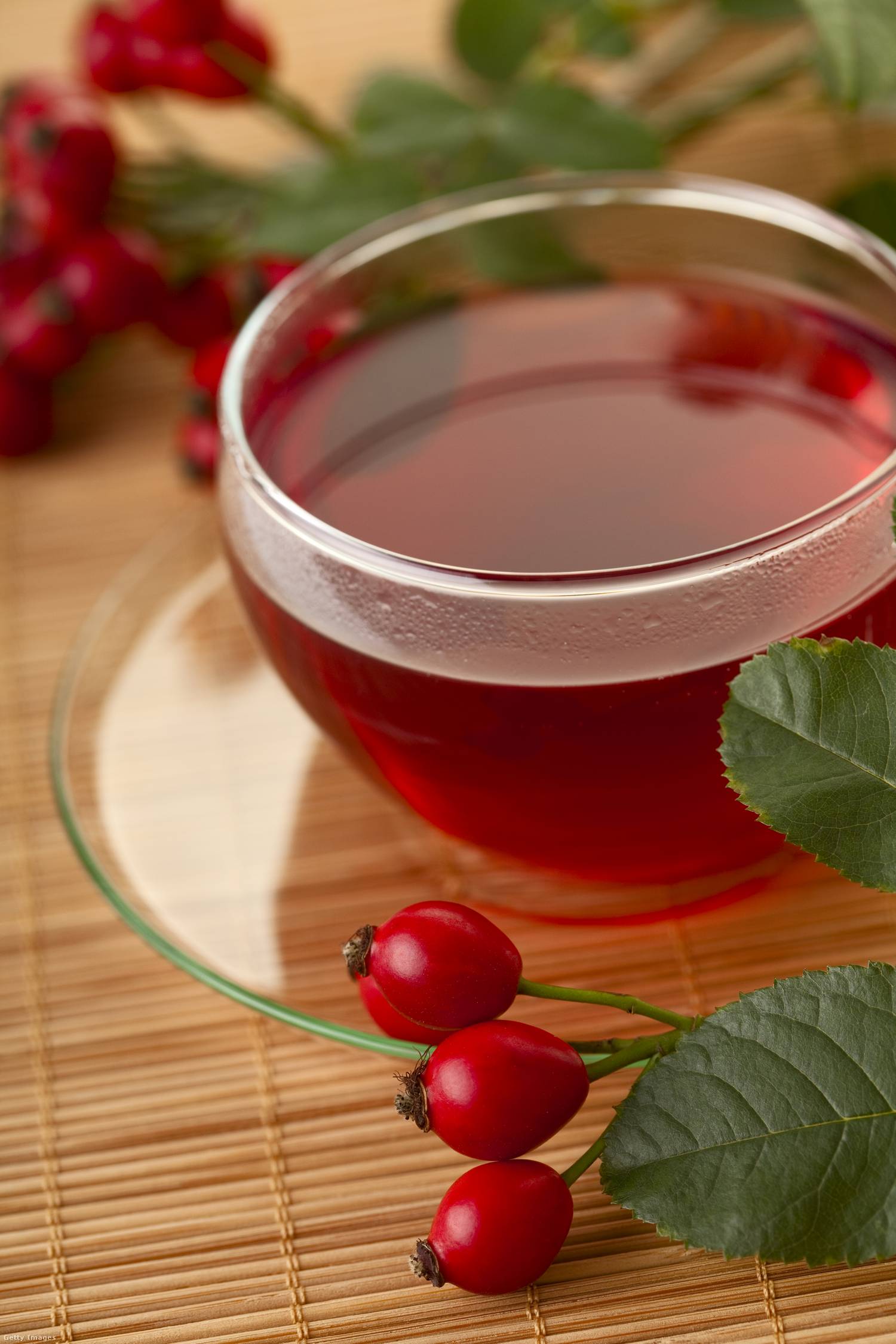 csipkebogyotea