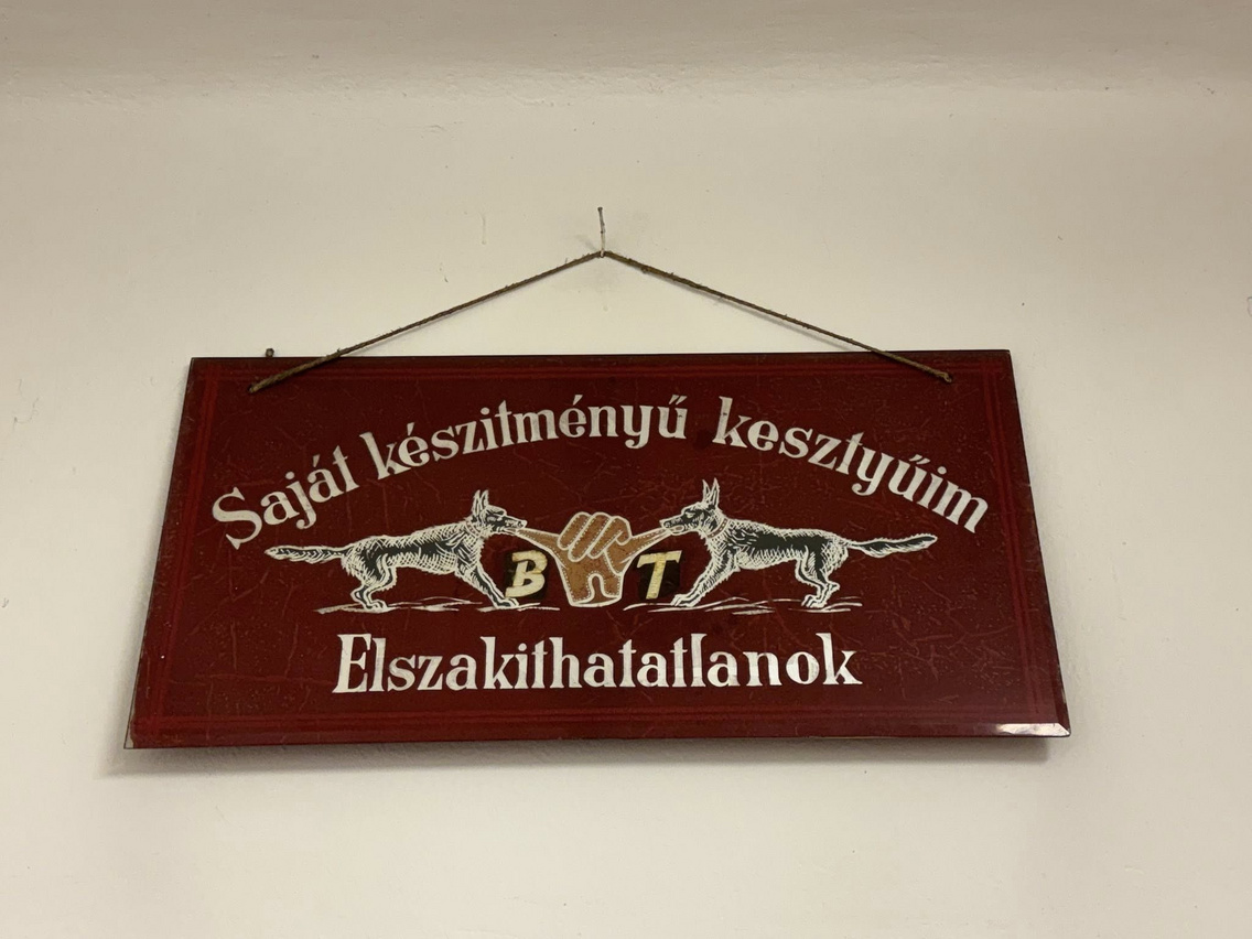 kesztyűs
