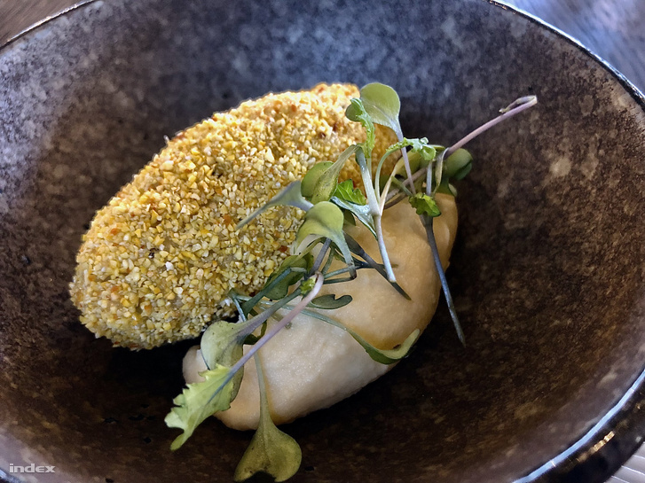 Kukoricadarába forgatott szarvasgombás arancini, paszternák krémmel