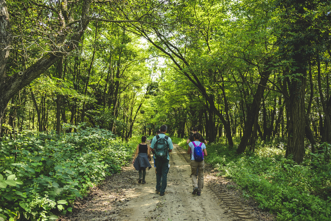 kakpuszta-tu-ra korosi-tamas 20180830