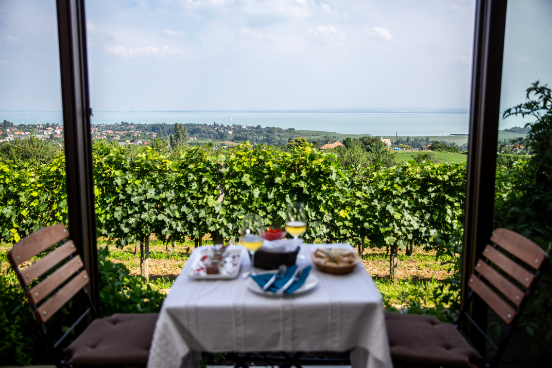 petranyi-pince polyak-attila 20180621 2