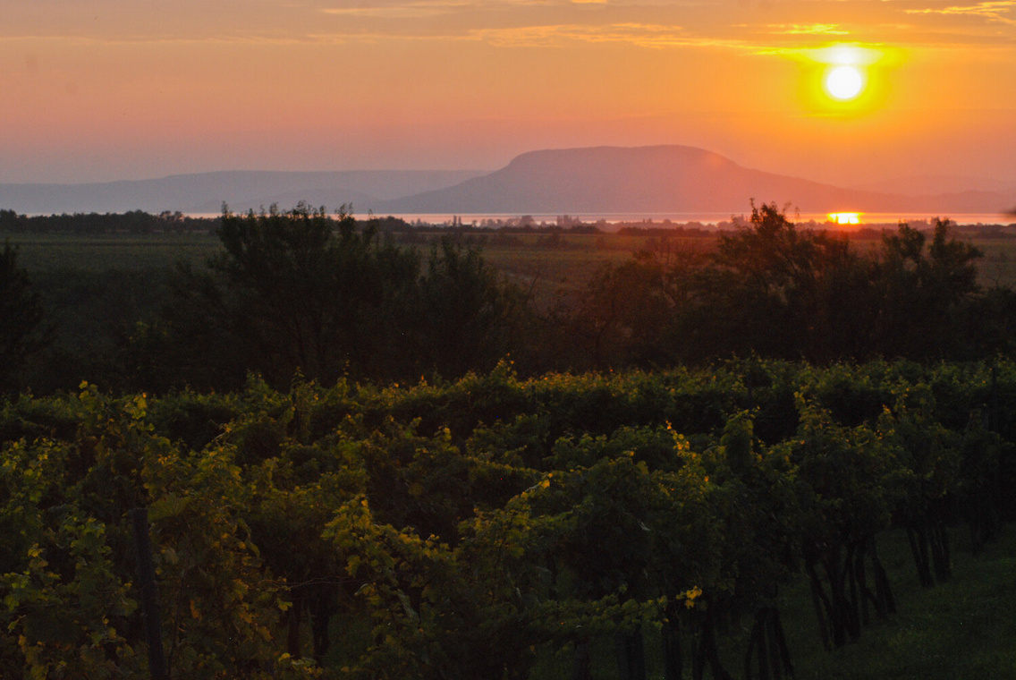 sb-20140807-hegyi-csarda-kishegy-dsc-0113-gr