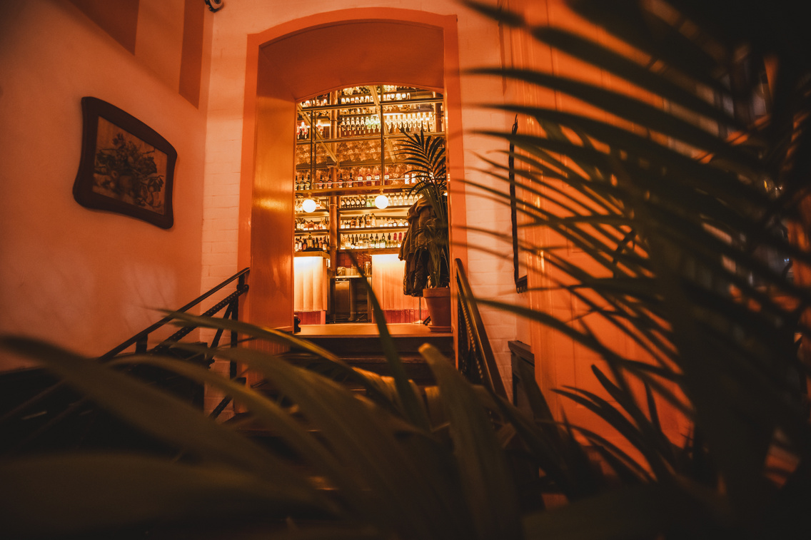 giulia polyak attila 20241122 010