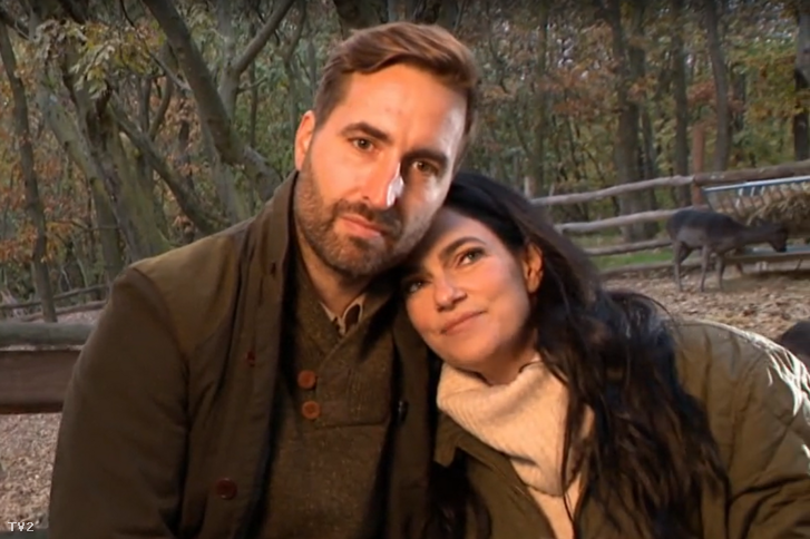 Képernyőkép 2025-11-11 184059.png