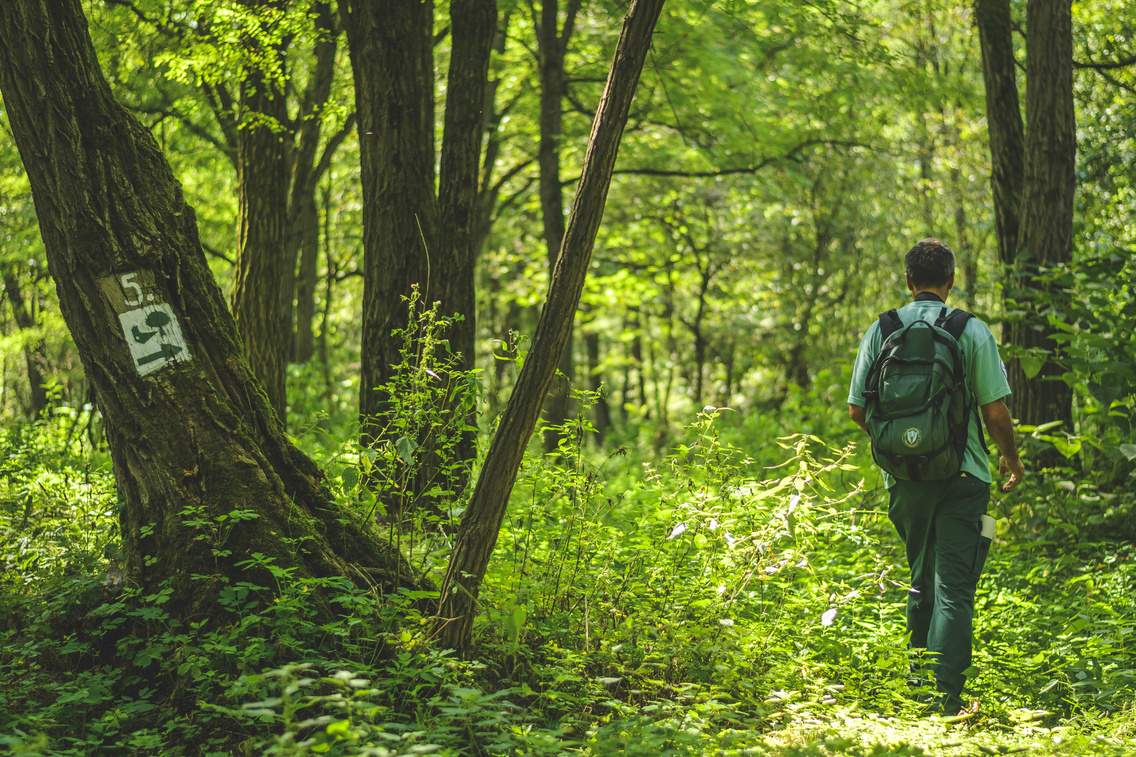 kakpuszta-tu-ra korosi-tamas 20180830
