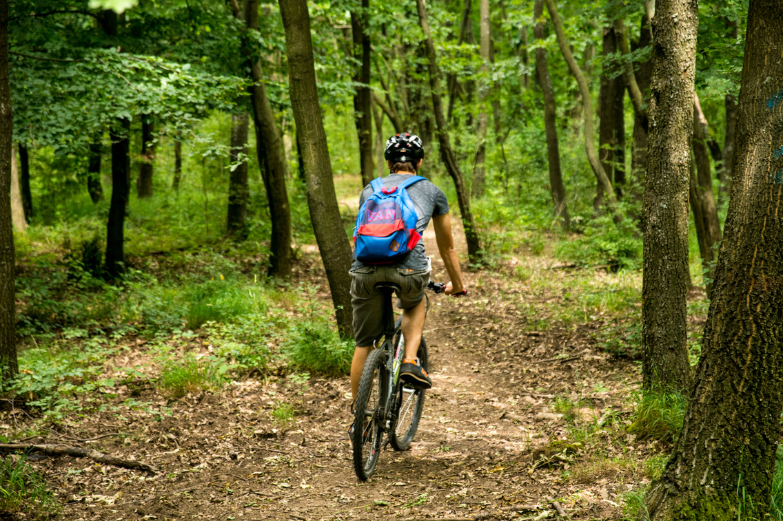 bringarena korosi-tamas 20160706