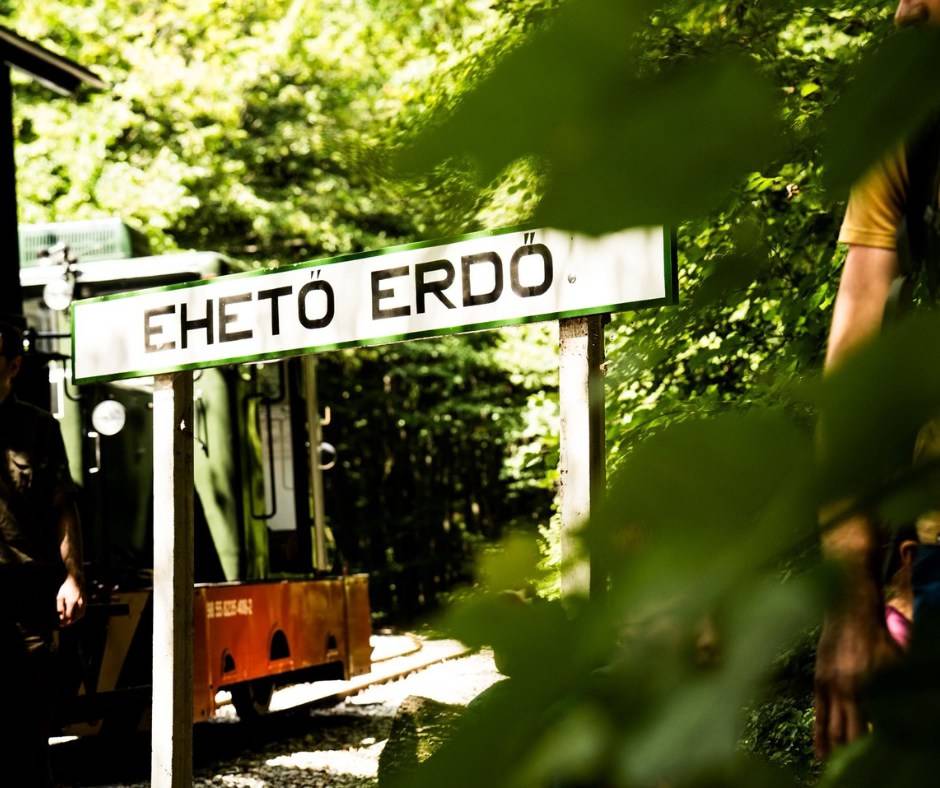 Miskolc Ehető erdő Erdei gasztroexpressz projekt 5