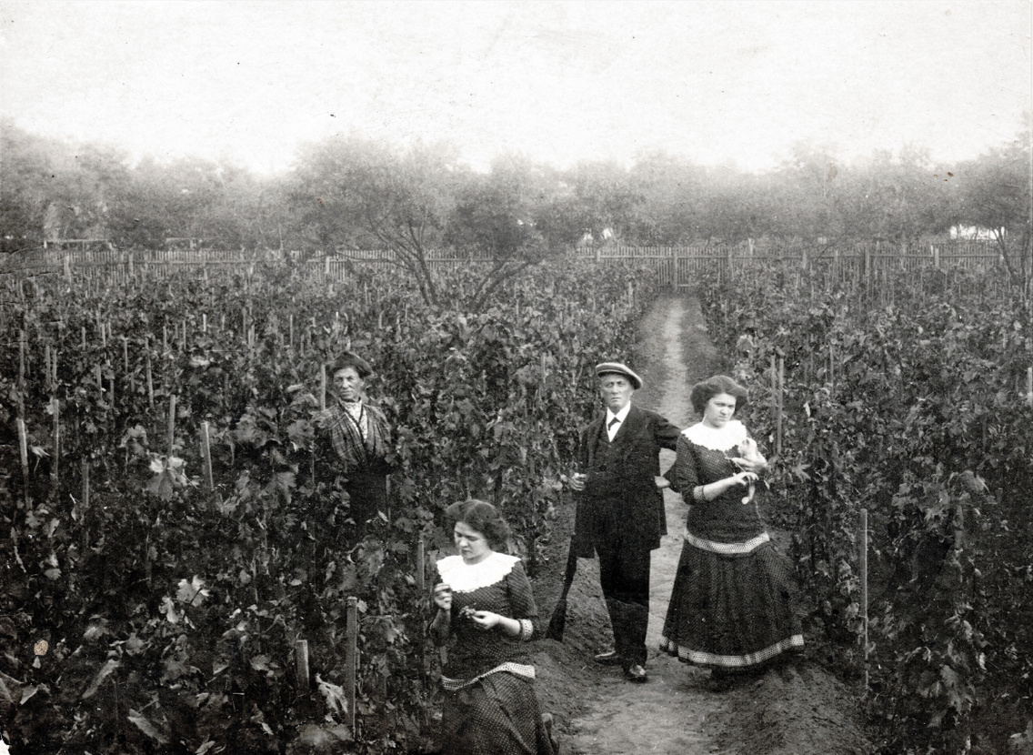 A felvétel az Árpád fejedelem (Paula) utca egyik telkén készült, 1916