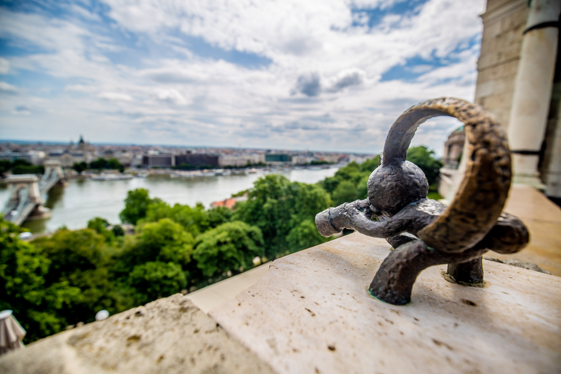 A kockásfülű nyúl