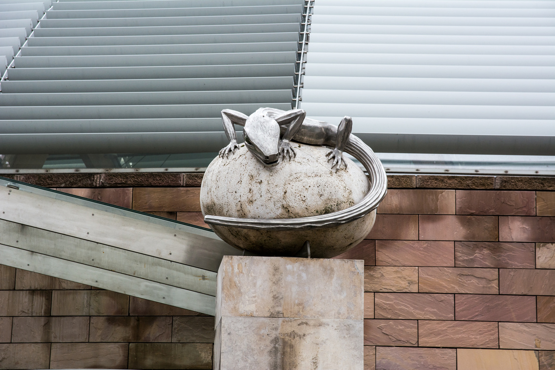 magyar-termeszettudomanyi-muzeum korosi-tamas 20141015