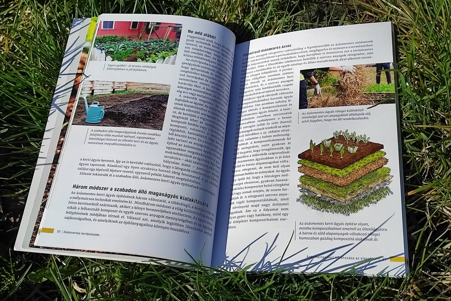 Charlie Nardozzi: Ásásmentes kertészkedés