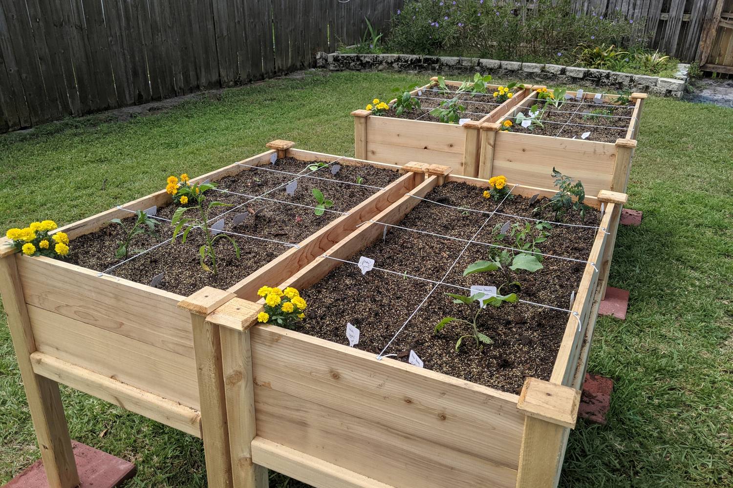 kertészkedés mulcs ásásmentes kert (2)