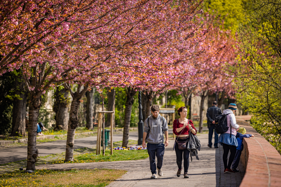 tavasz2023-toth-arpad-setany-20230411-szabo-gabor-014