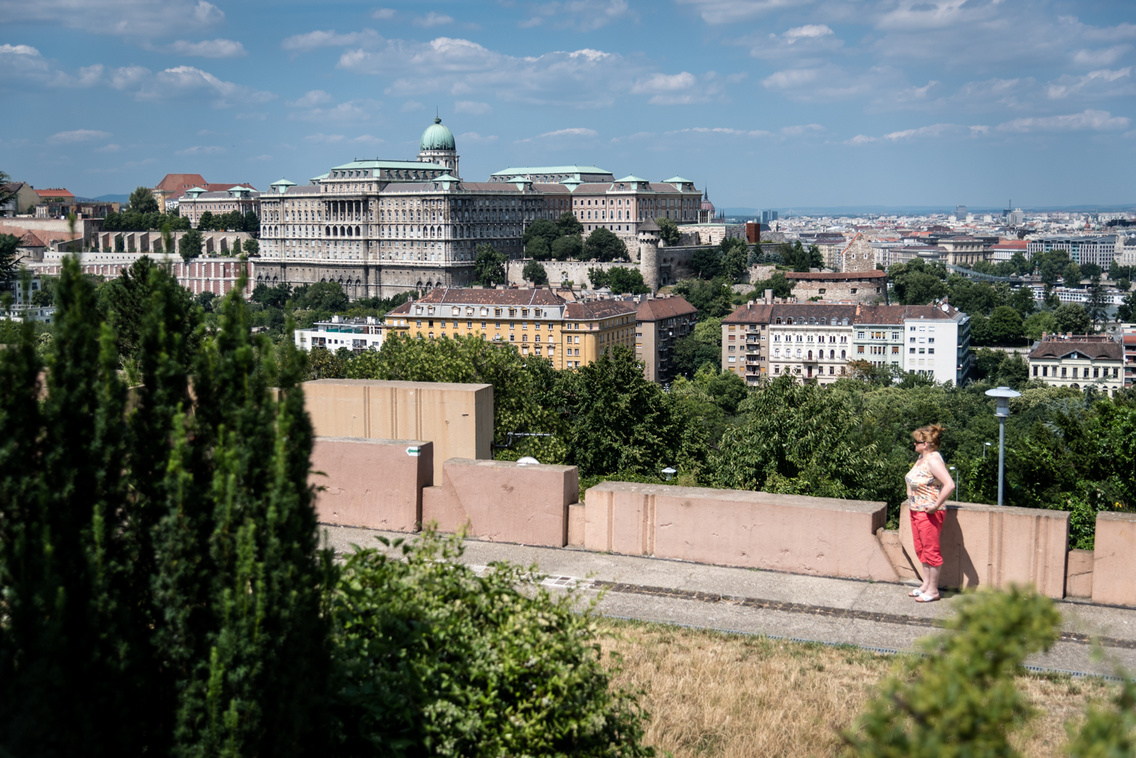 filozofusok-kertje juhasz-norbert 20150716