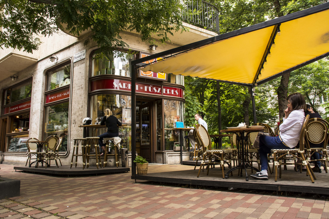 sarki-fuszeres korosi-tamas 20140622