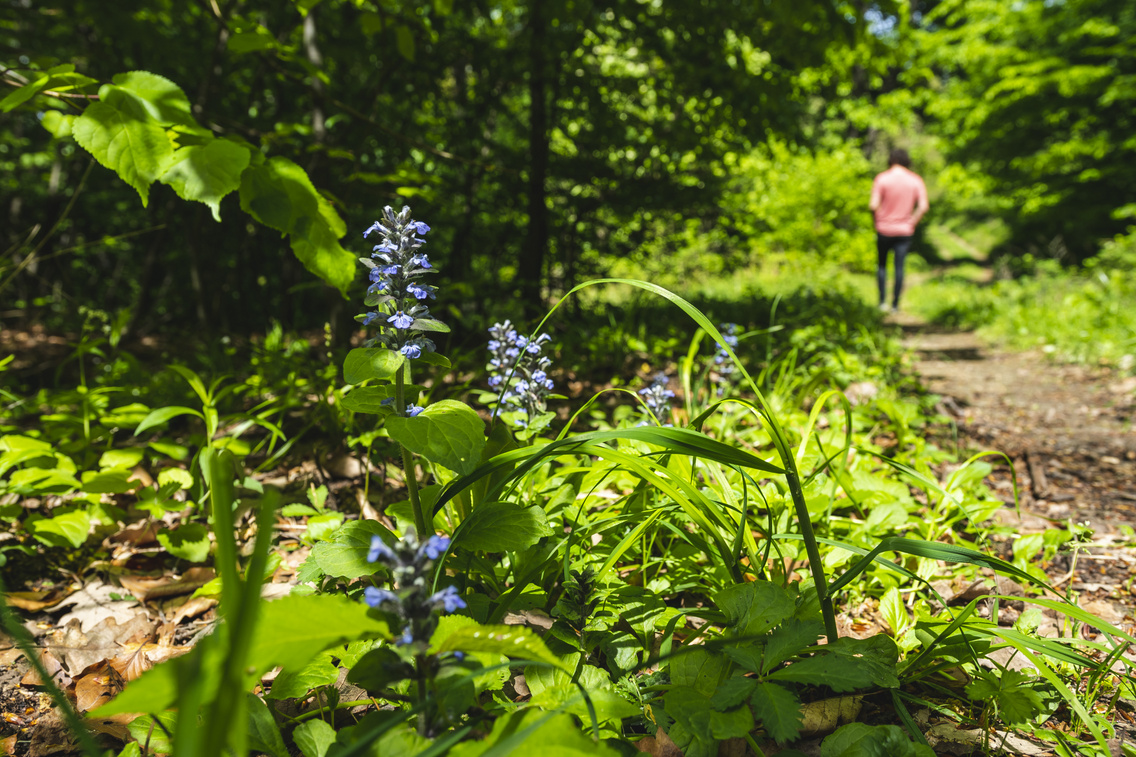 vallus-uzsabanya-tura korosi-tamas 20180427