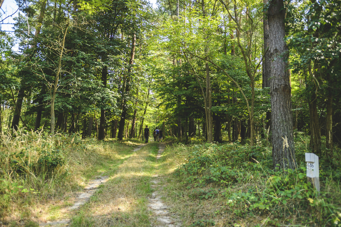 kakpuszta-tu-ra korosi-tamas 20180830