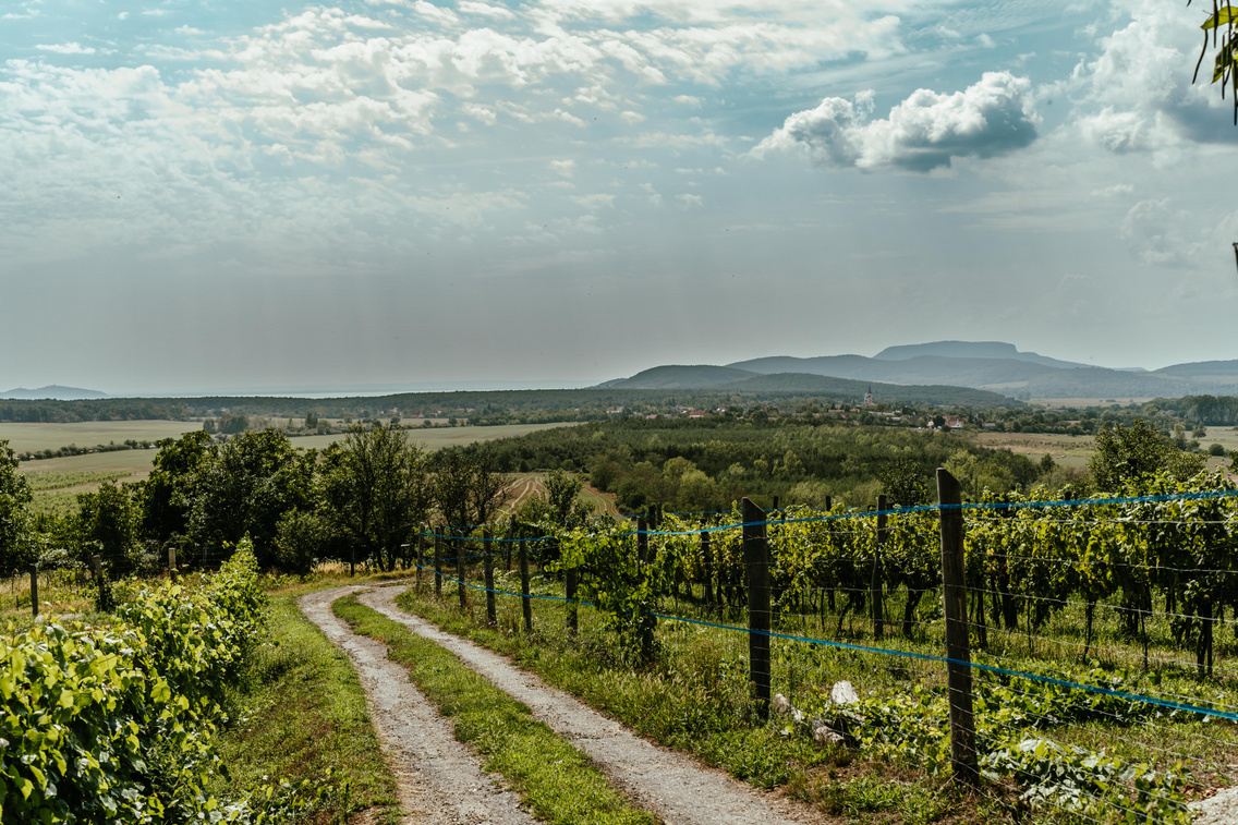 balaton-felvideki-kek-tura-salfold-kovagoors-korosi-tamas-85