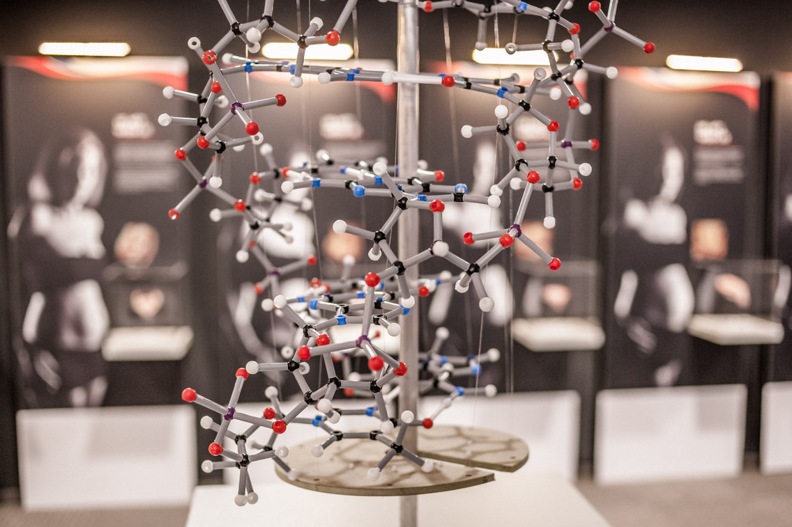 csodak-palotaja hartyanyi-norbert 20160520