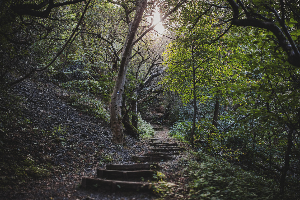 szent-gyorgy-hegyi-bazaltorgonak-tanosveny-lengyel-kapolna-szent