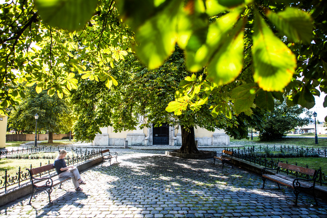 aproterek-arpadhazi-20190911-majorkata-5362