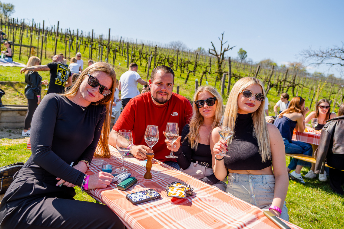 társaság a szőlőben