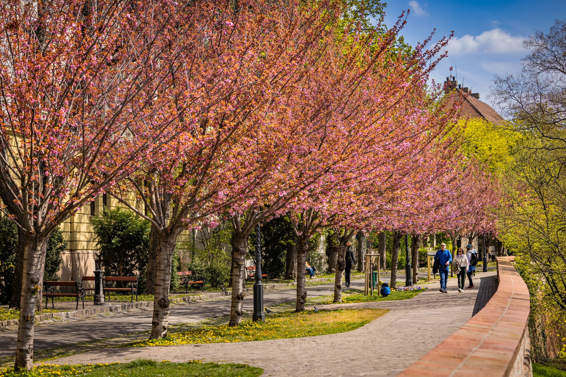 tavasz2023-toth-arpad-setany-20230411-szabo-gabor-016.exact1980w