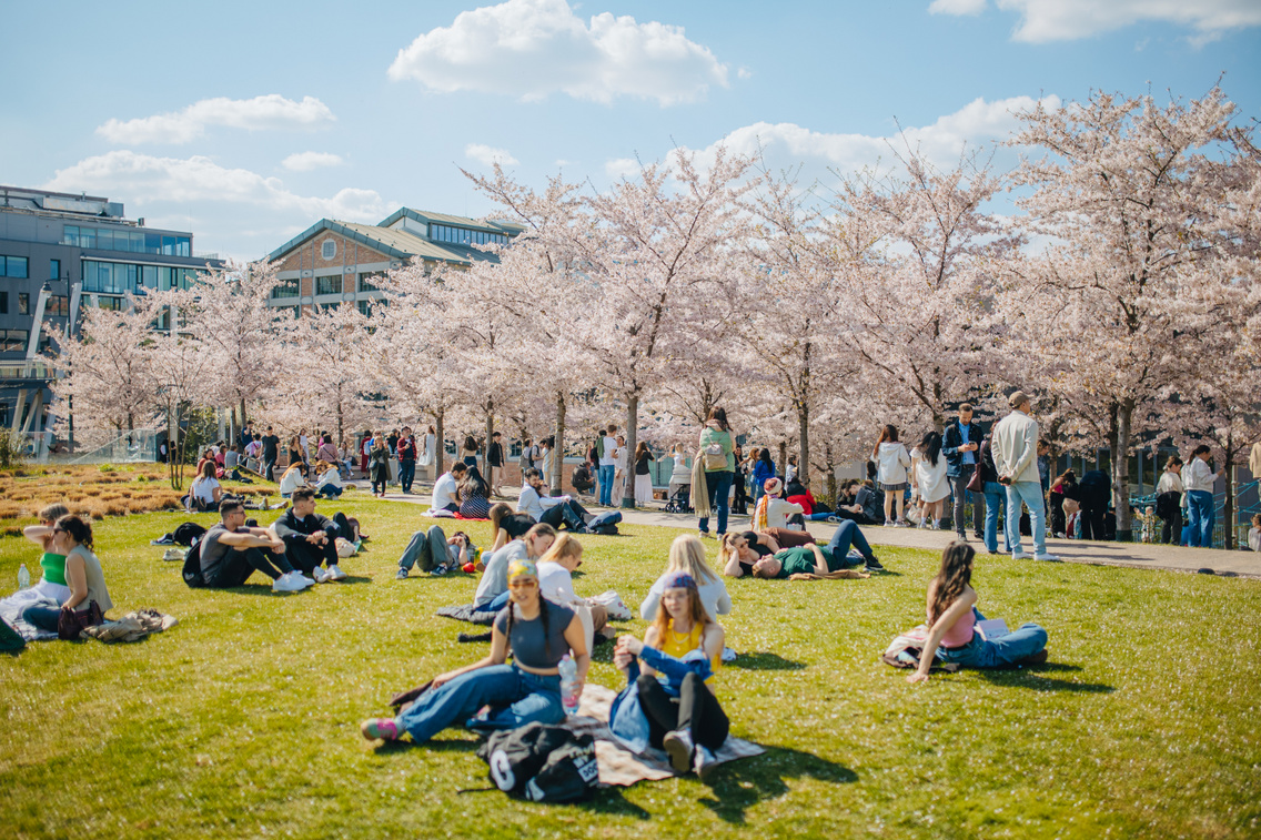 TavasziGaléria KMA53