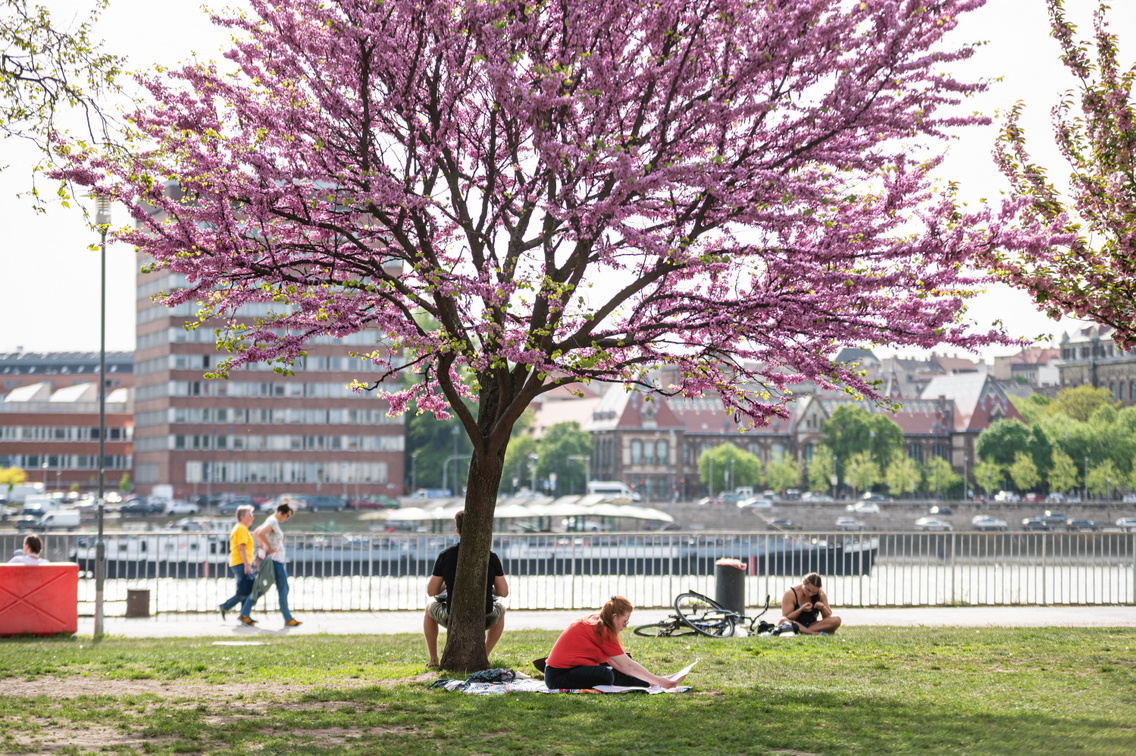 tavasz nehru part 101 Medgyesi Milán 20240409